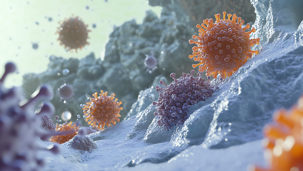 Immunsystem in Nahaufnahme